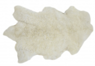 sheepskin skin buy 