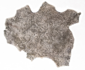 шкура овчины