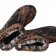 boots for men + for hunting 