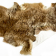 sheepskin hide 